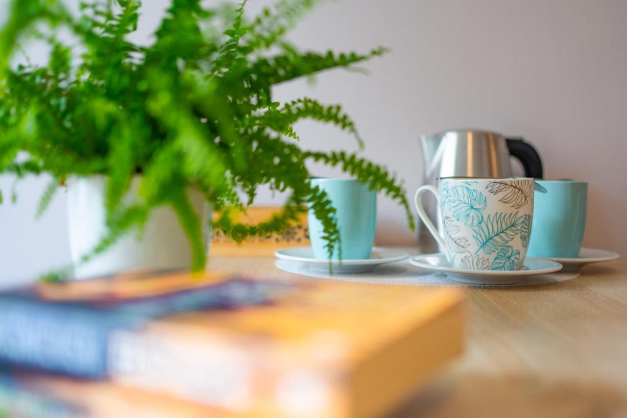 Montis Bed & Breakfast Krynica Zdroj